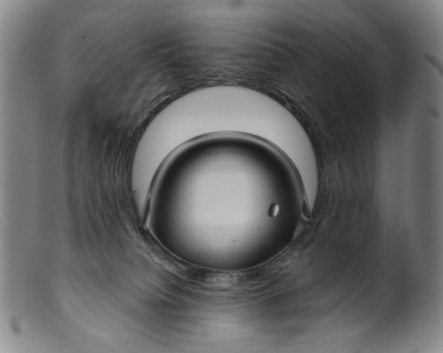 X0000099420084200805231639
