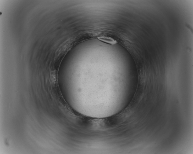 X0000099420085200805231639