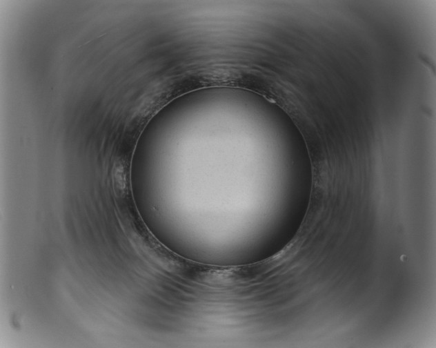 X0000099420086200805231639