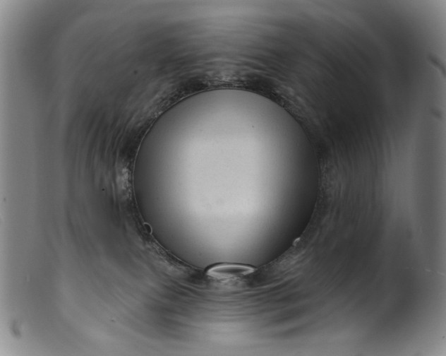 X0000099420087200805231639