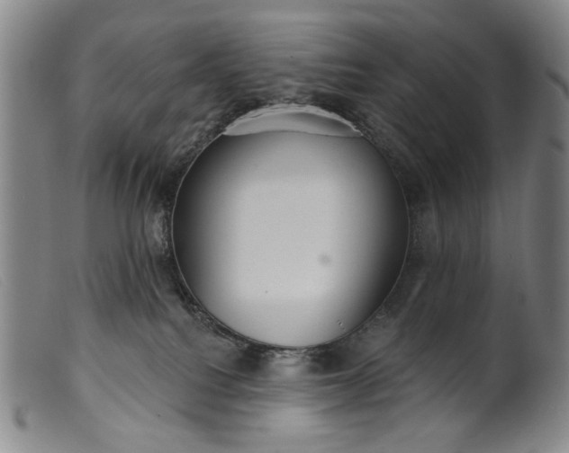 X0000099420088200805231639