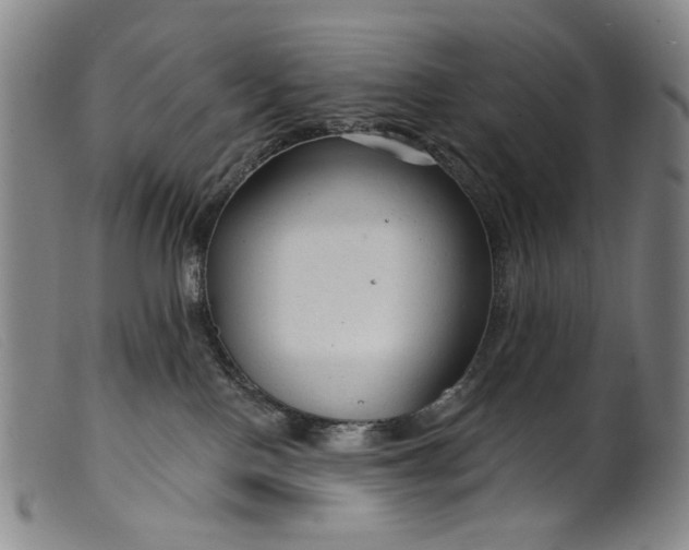 X0000099420090200805231639