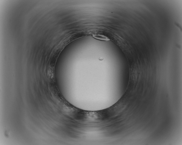 X0000099420091200805231639