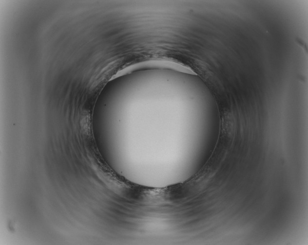 X0000099420092200805231639