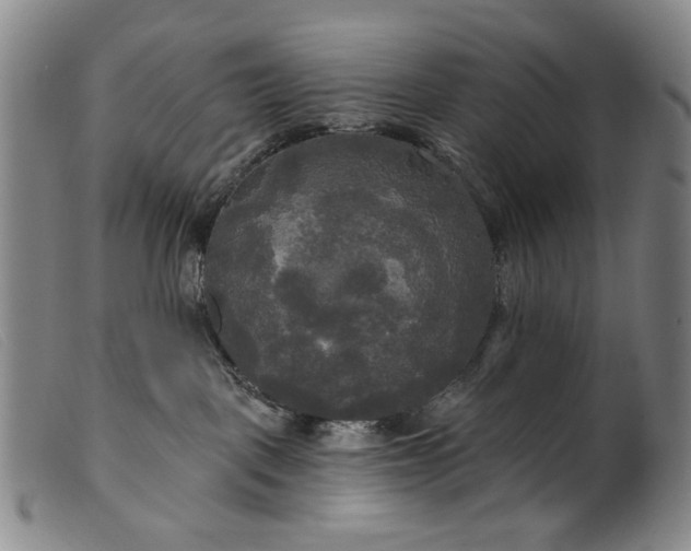 X0000099420093200805231639