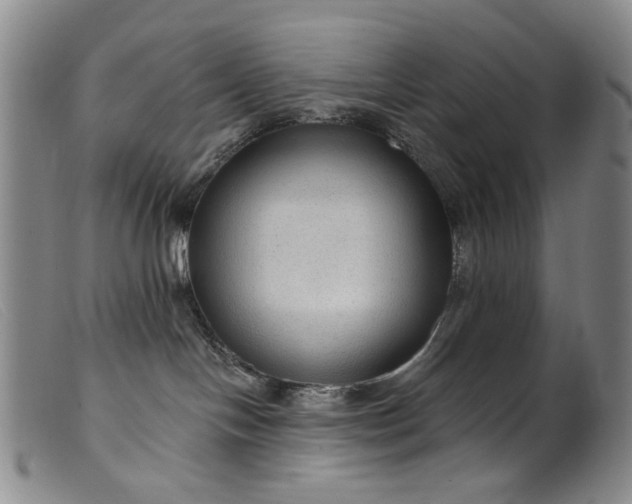 X0000099420094200805231639