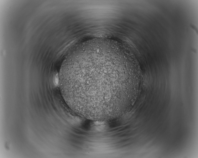 X0000099420095200805231639