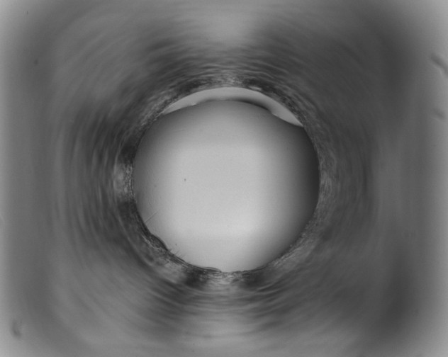 X0000099420096200805231639