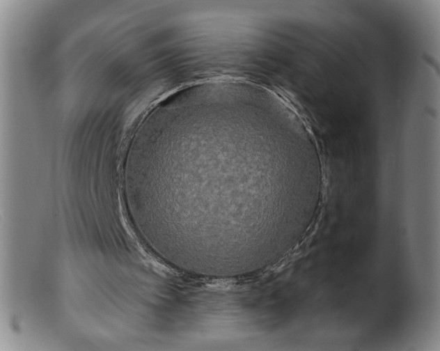 X0000099420097200805231639