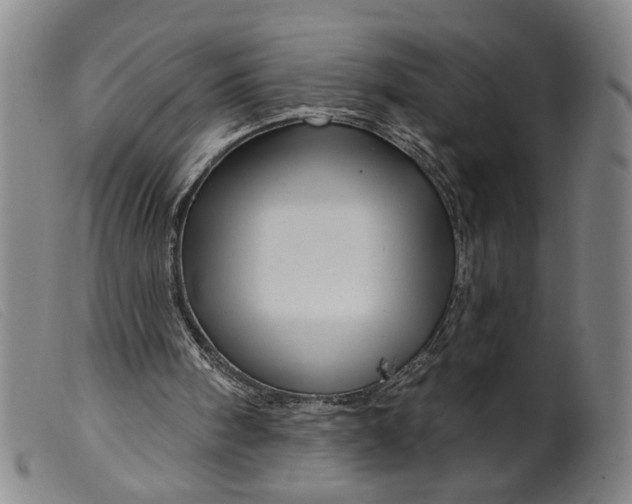 X0000099420098200805231639