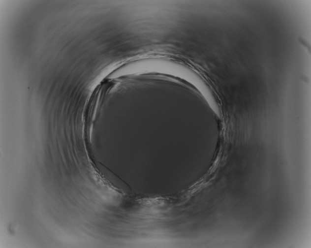 X0000099420100200805231639