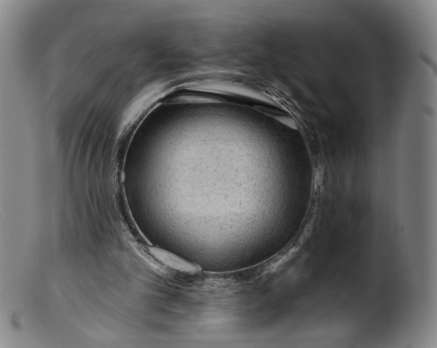 X0000099420101200805231639