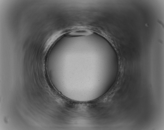 X0000099420103200805231639