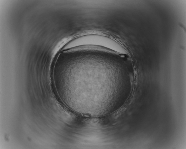 X0000099420104200805231639