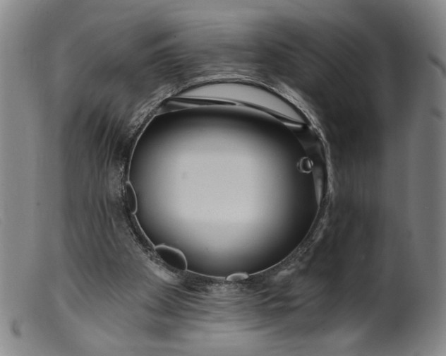 X0000099420105200805231639