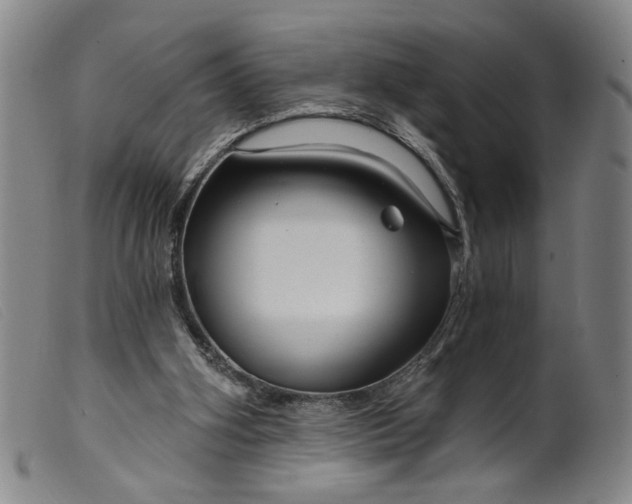 X0000099420106200805231639