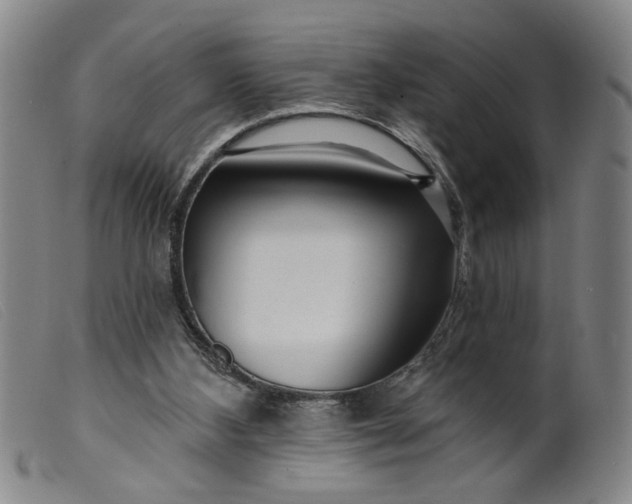 X0000099420108200805231639