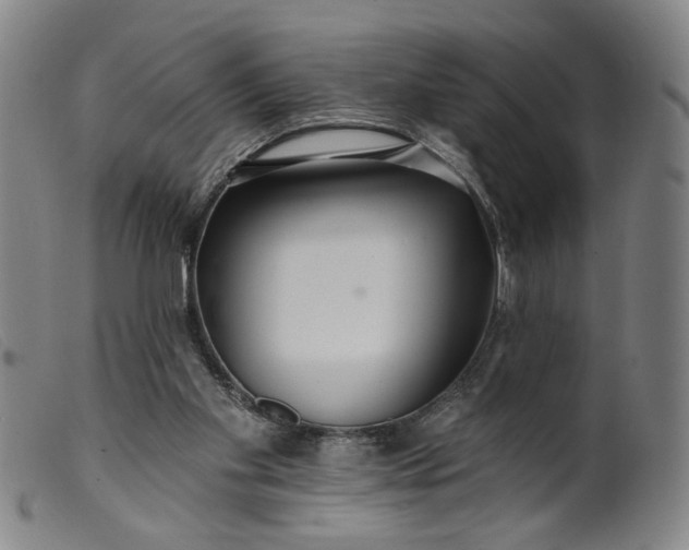 X0000099420109200805231639