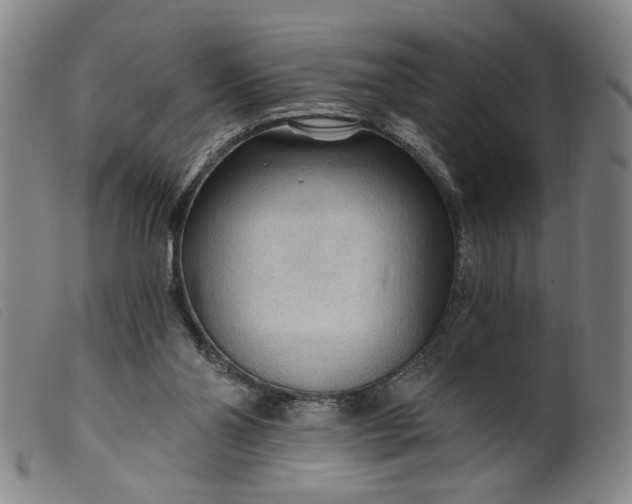 X0000099420110200805231639