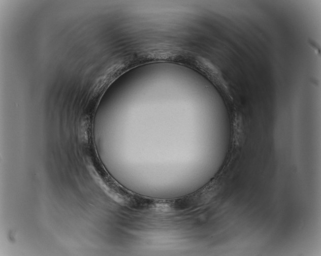 X0000099420114200805231638