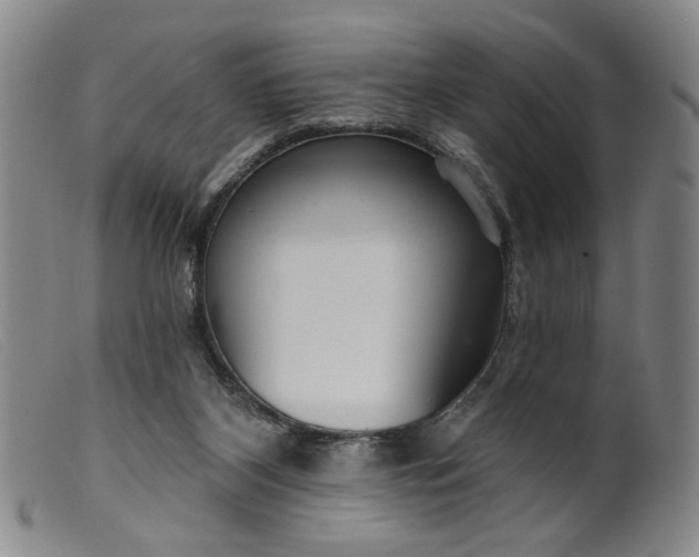 X0000099420116200805231638