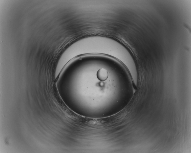 X0000099420117200805231638