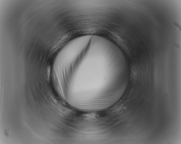 X0000099420118200805231638