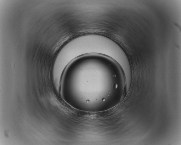 X0000099420120200805231638