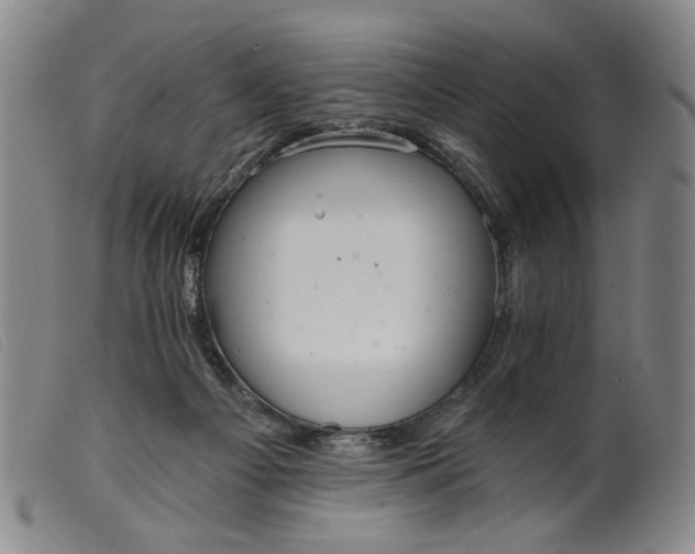 X0000099420121200805231638