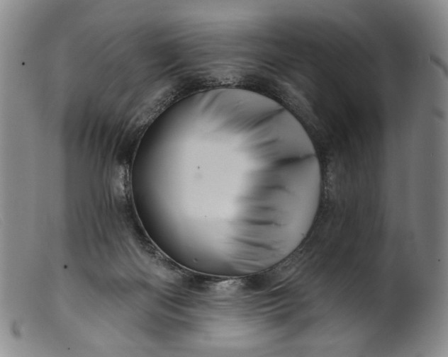 X0000099420122200805231638