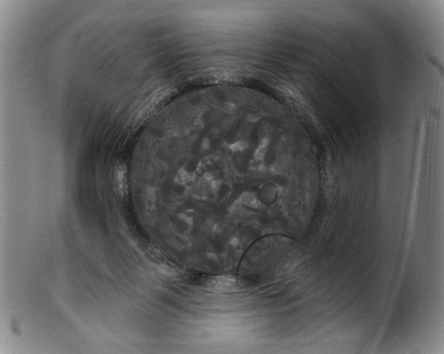 X0000099420123200805231638