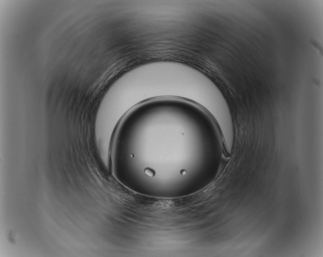 X0000099420124200805231638