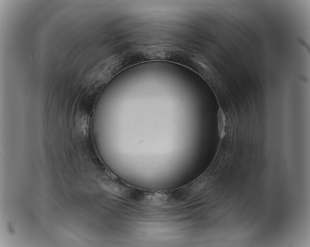 X0000099420125200805231638
