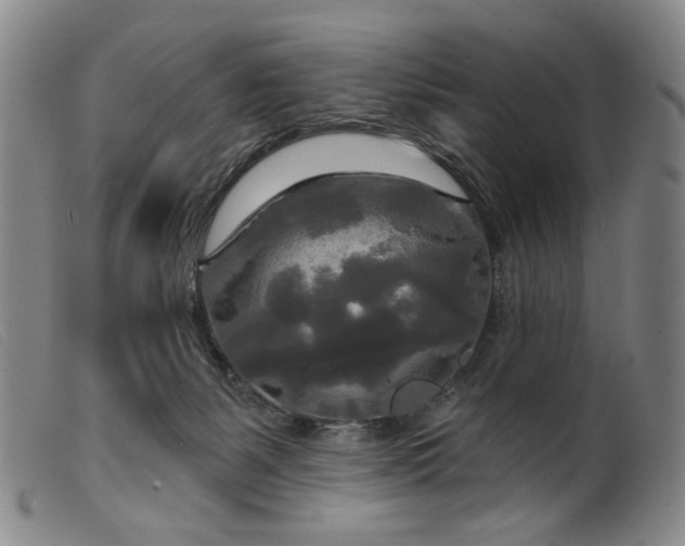 X0000099420127200805231638