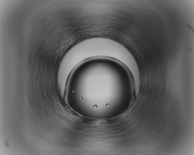 X0000099420128200805231638