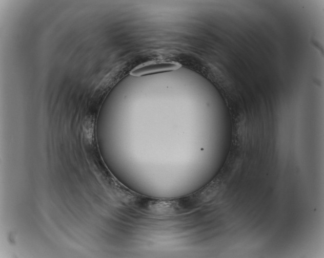 X0000099420129200805231638