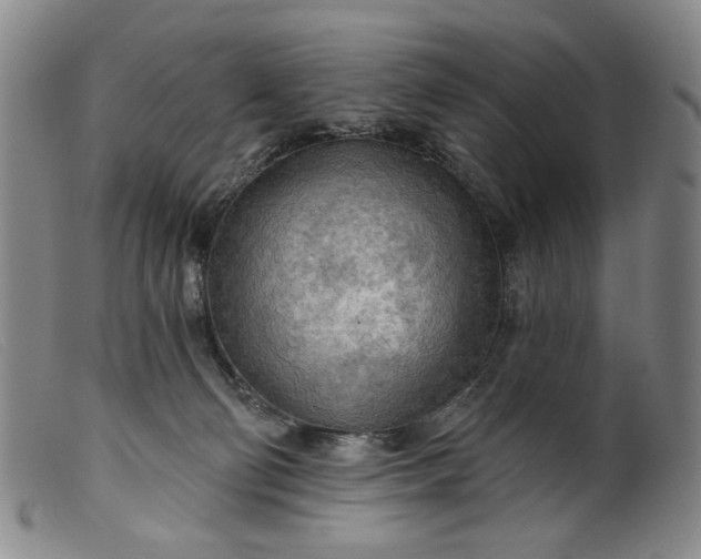 X0000099420130200805231638