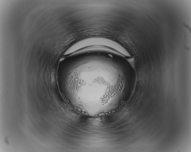 X0000099420131200805231638