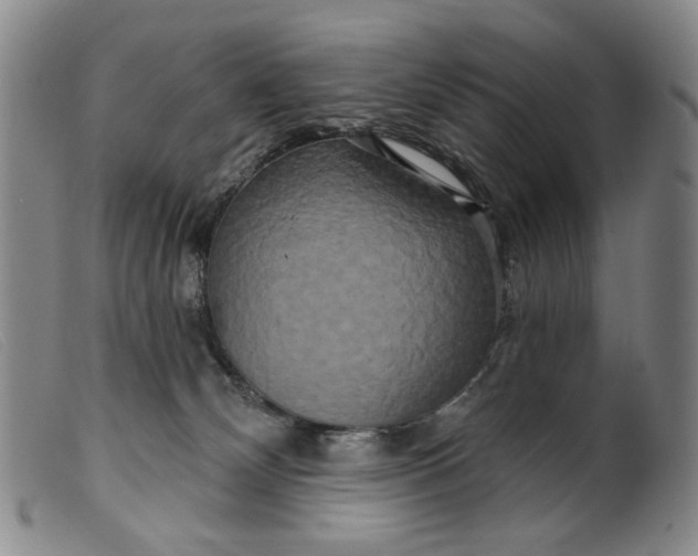 X0000099420132200805231638