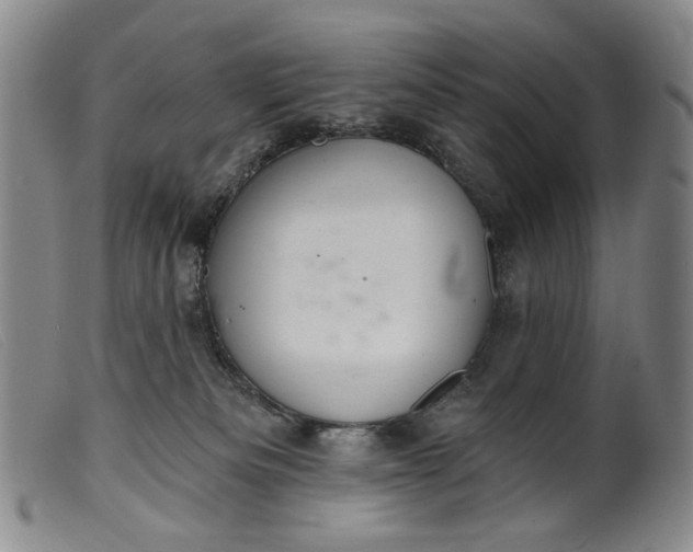 X0000099420133200805231638
