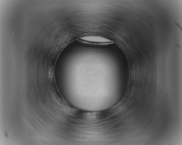 X0000099420134200805231638