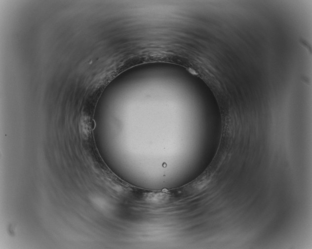 X0000099420135200805231638