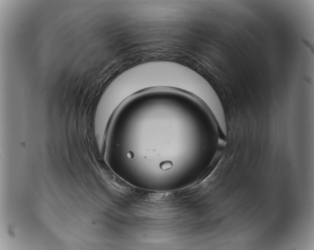 X0000099420136200805231638