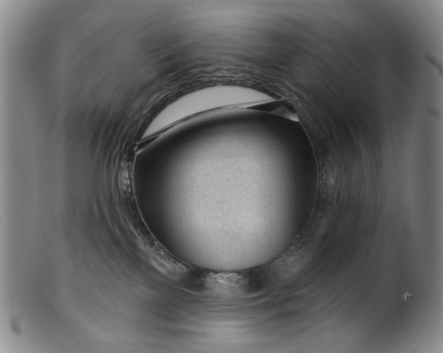X0000099420137200805231638