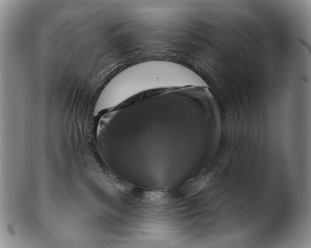 X0000099420139200805231638