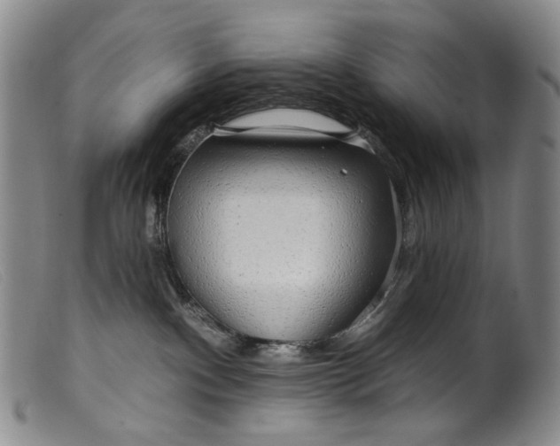 X0000099420140200805231638