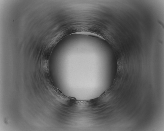 X0000099420141200805231638
