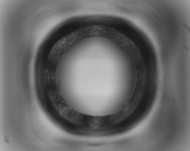 X0000099420142200805231638