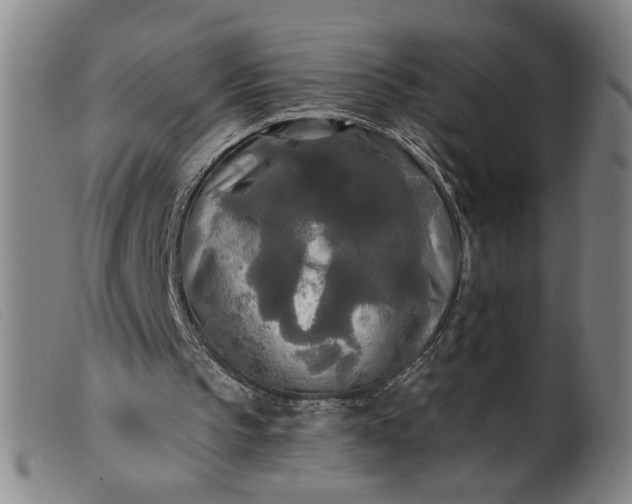 X0000099420145200805231637