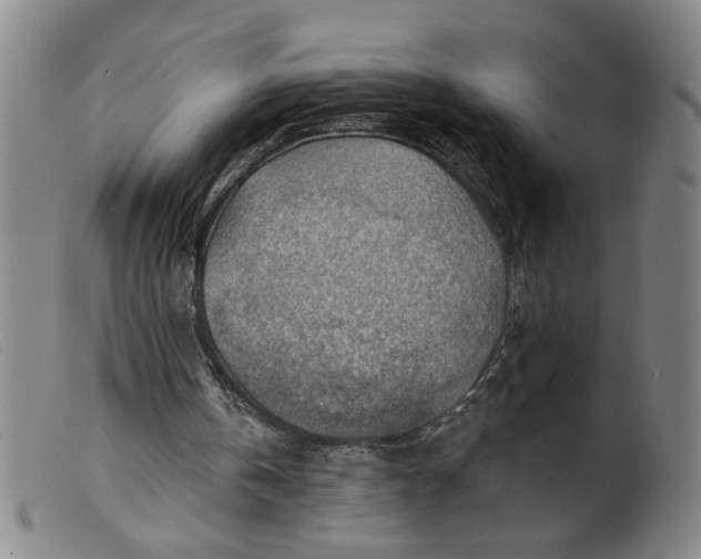 X0000099420146200805231637